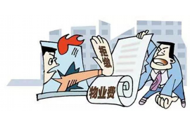 易门易门的要账公司在催收过程中的策略和技巧有哪些？